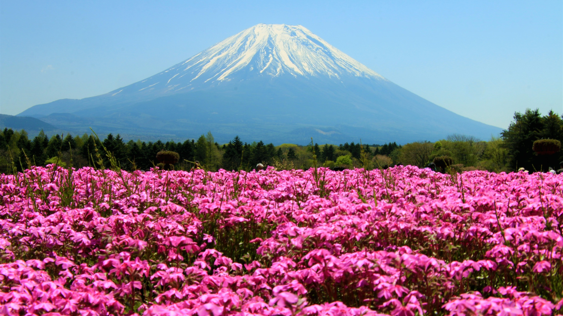 Japão — miniatura 6
