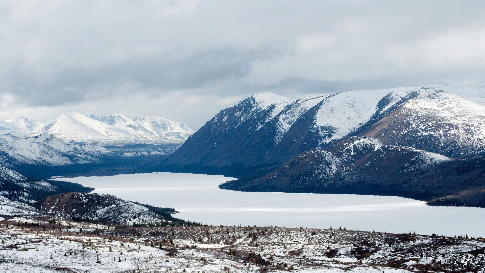 Aurora Boreal em Yukon — miniatura 3