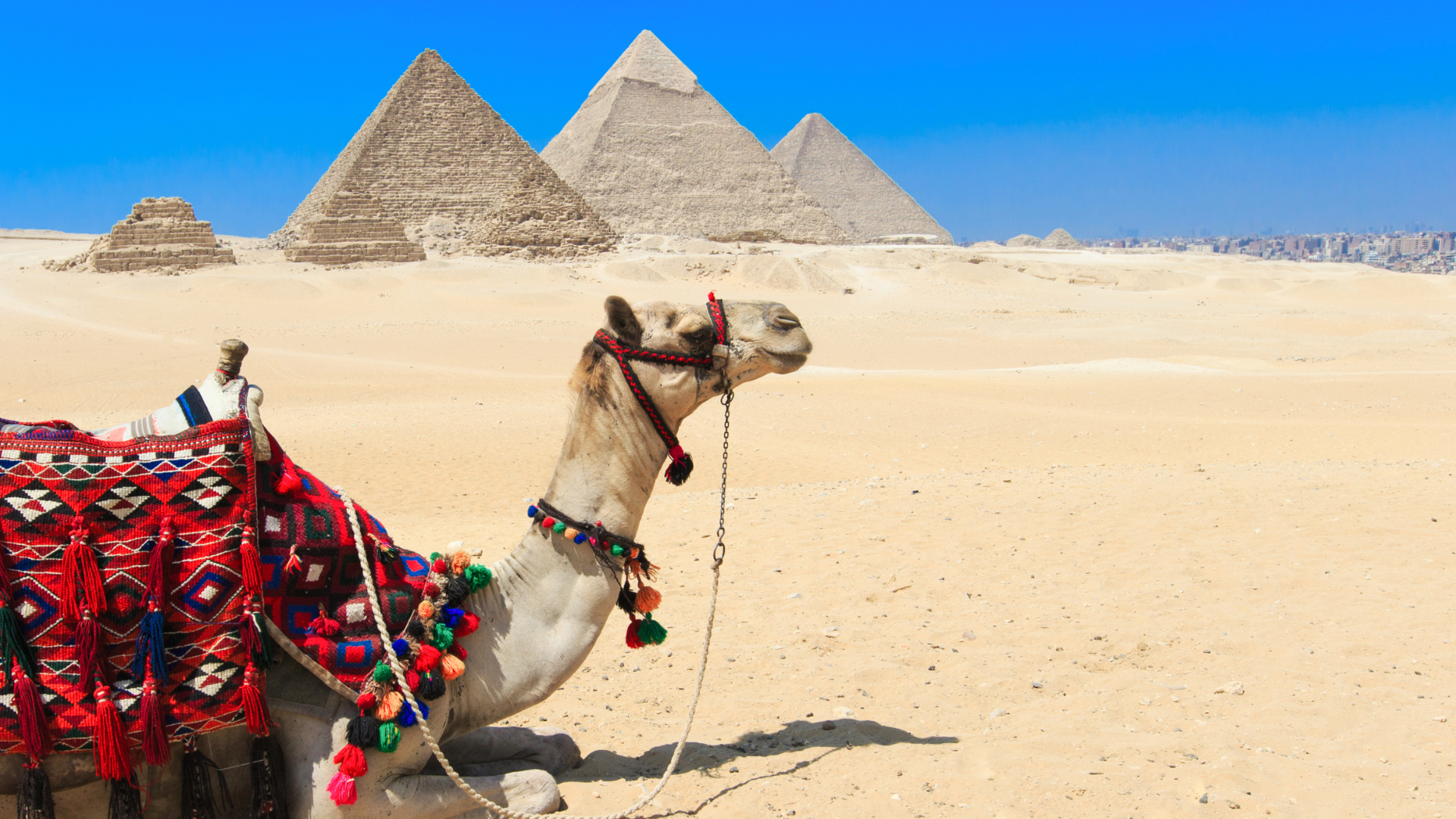 Egito - Cairo, Nilo e Alexandria — miniatura 2