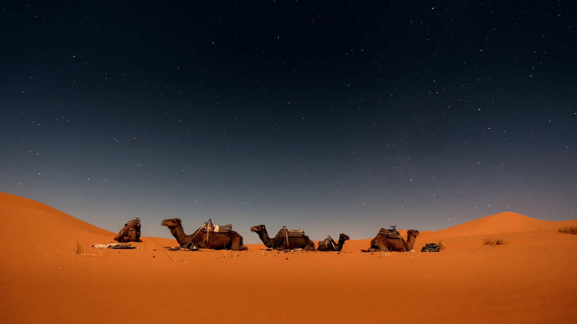 Grande Tour de Marrocos - Tânger a Marrakech — miniatura 7