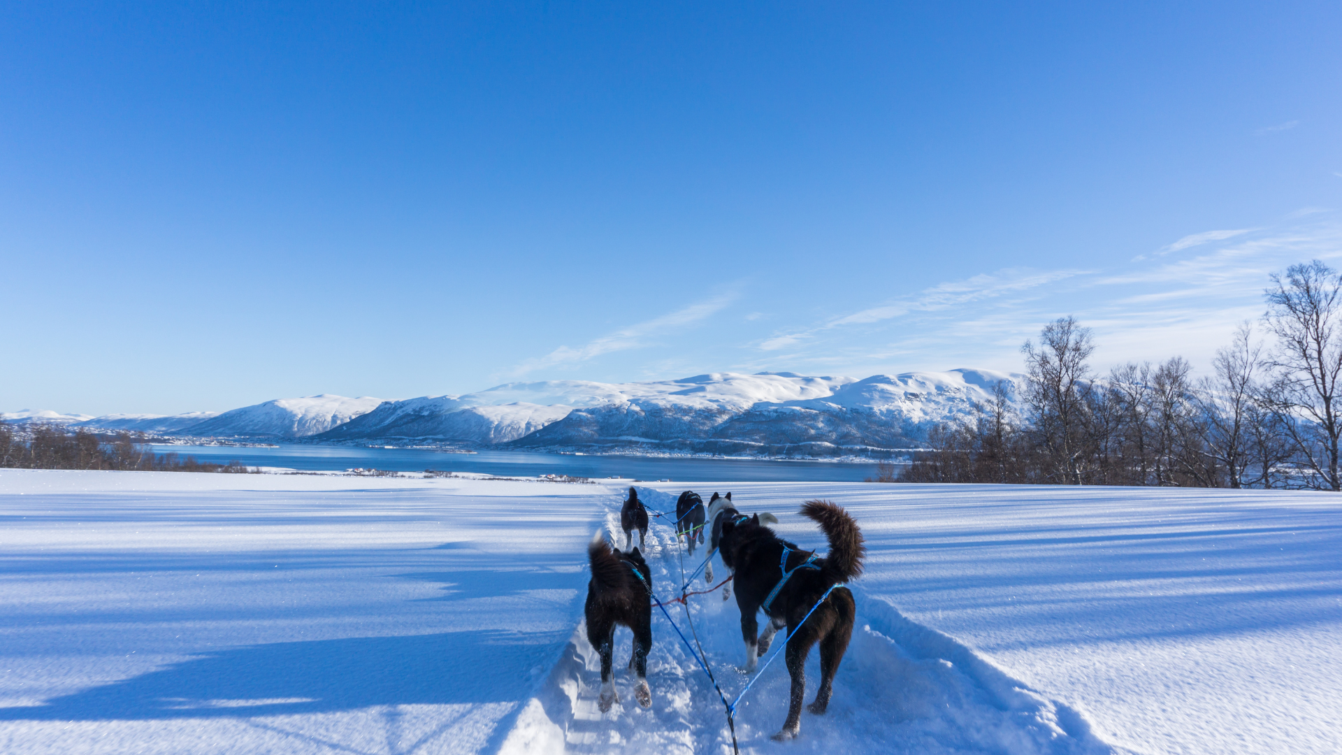 Tromsø Inverno – Guia em Português — miniatura 4
