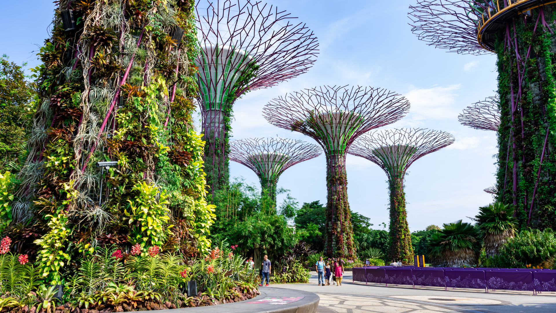 MALÁSIA E CINGAPURA - Réveillon em Kuala Lumpur — miniatura 7