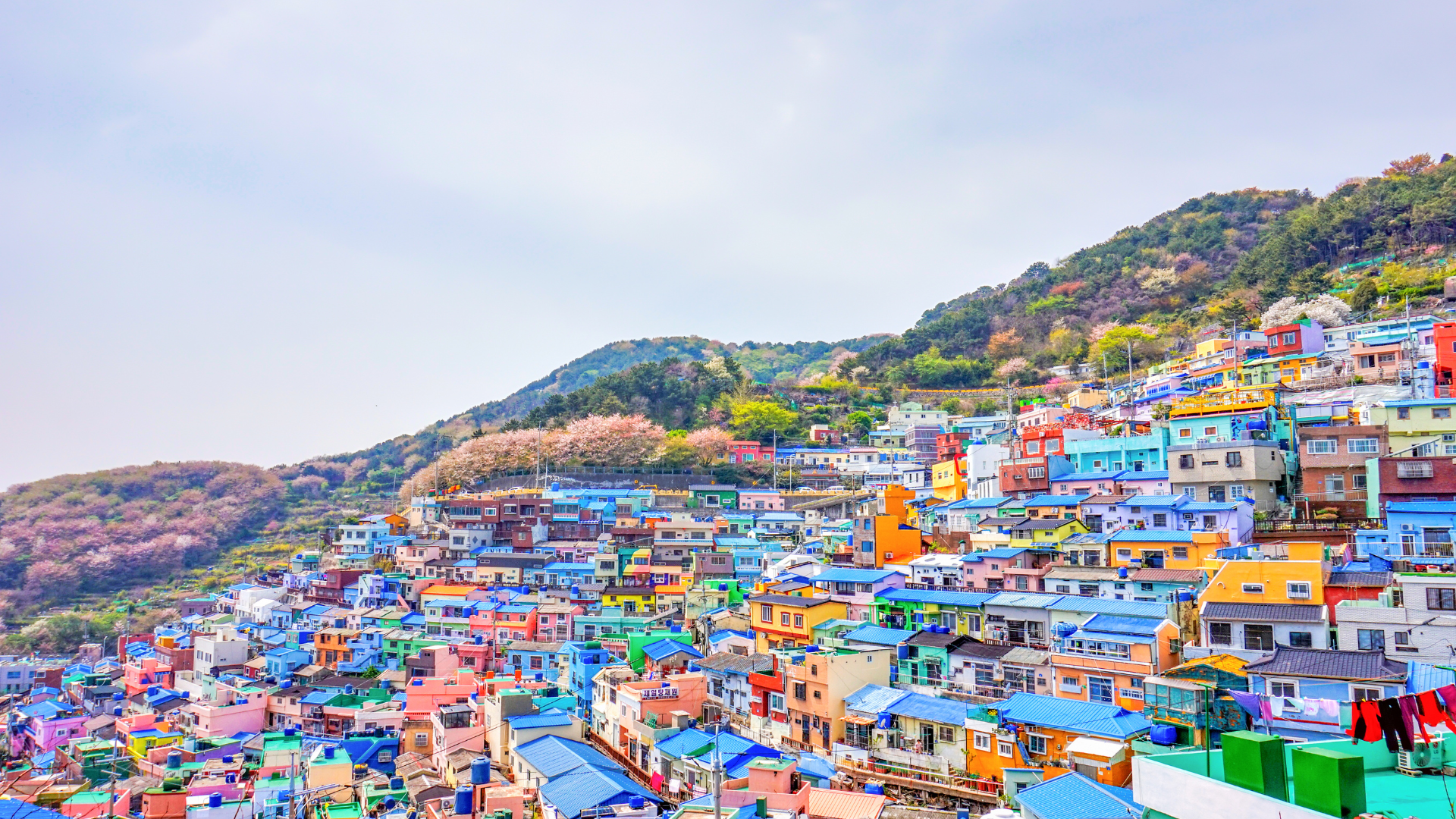 Encantos da Coreia do Sul — miniatura 5