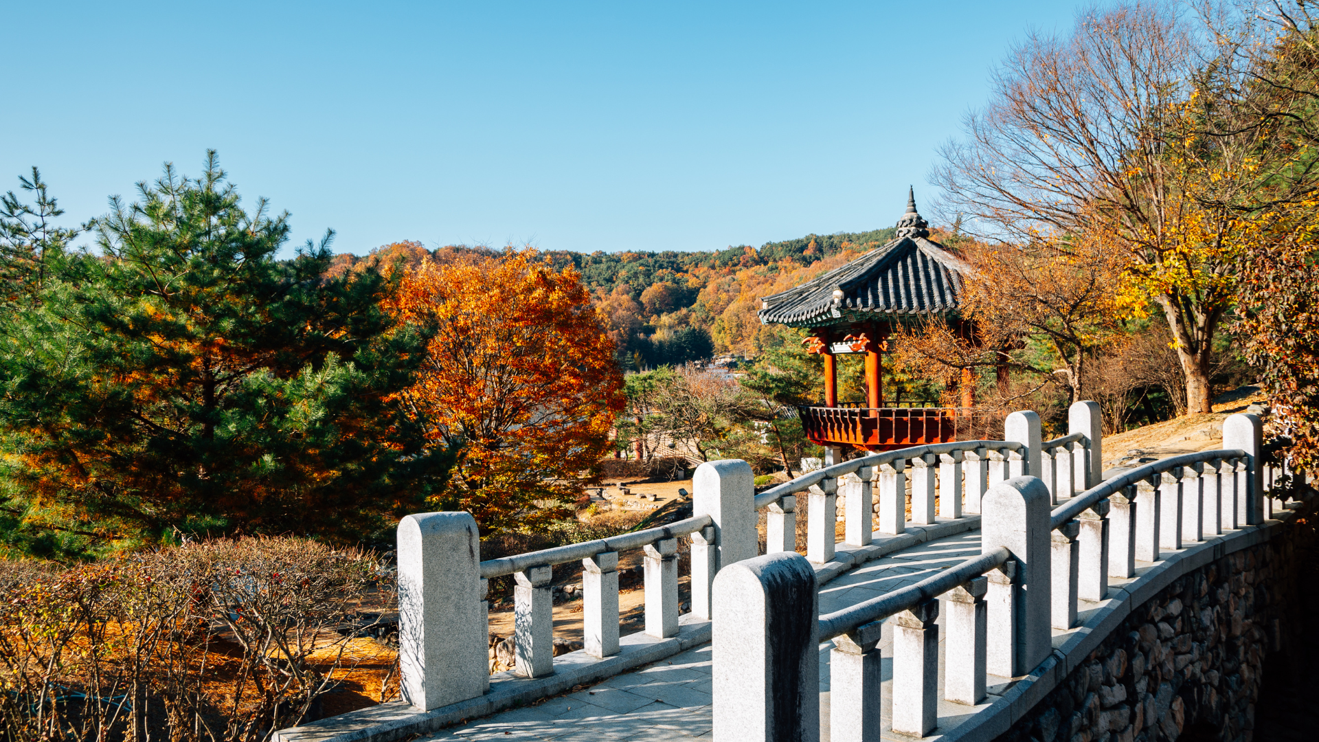 Encantos da Coreia do Sul — miniatura 8