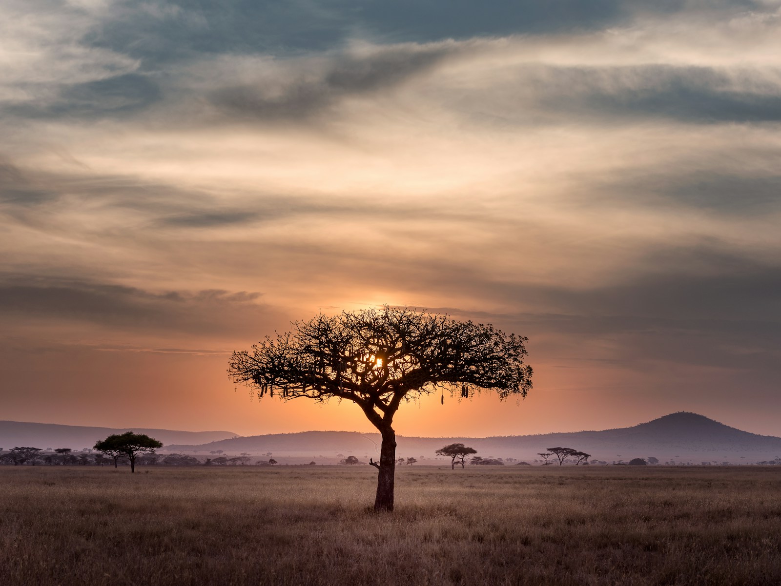 Mdluli Safari Lodge e Cape Town — miniatura 3