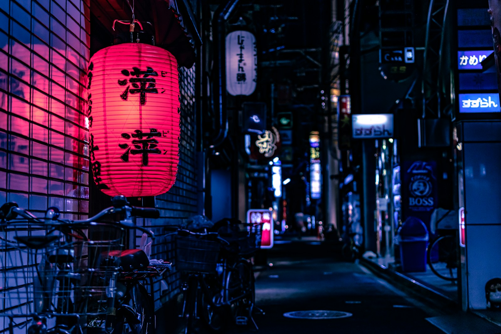 Japão Essencial: Tóquio, Kyoto e Hakone — miniatura 4